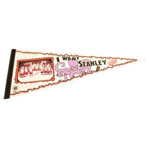 NHL Detroit Red Wings Pennant Vintage Banner 1995 1996 Team Photo Octopus Flag